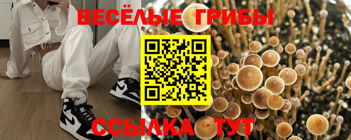Балтийск  Галлюциногенные грибы MAGIC MUSHROOMS  Псилоцибиновые грибы GOLDEN TEACHER  Вход с VPN 